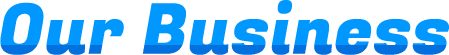 Our Business
